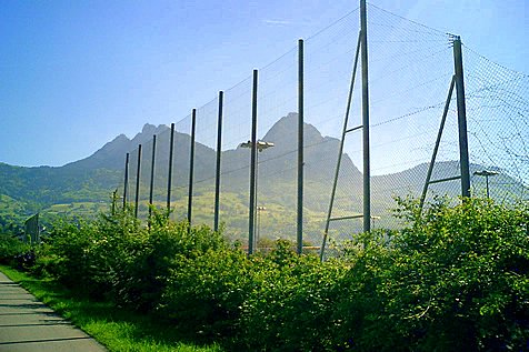 Ballfänger bei Sportplatz